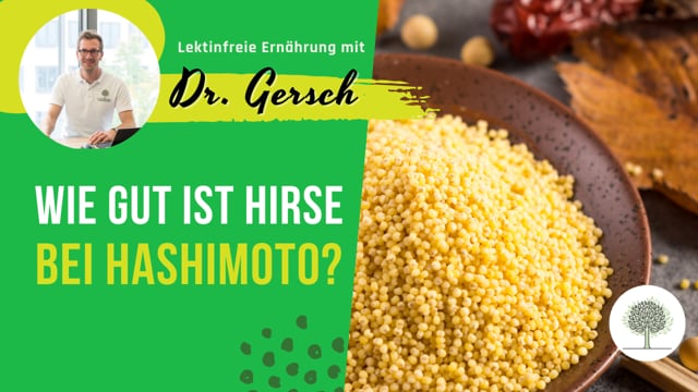 Wie sehr fällt es ins Gewicht mit der Hirse und dem darin enthaltenen Kafirin bei einem Hashimoto? 