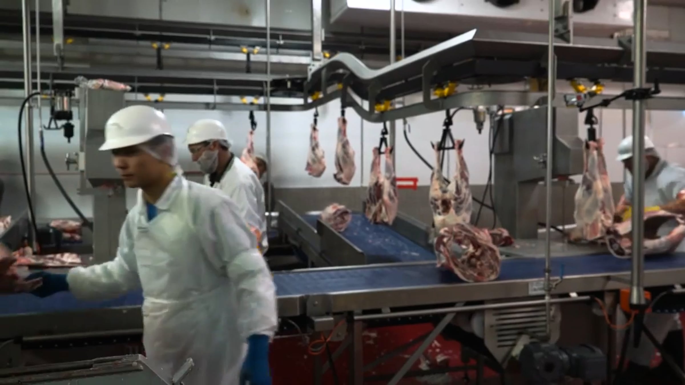 Lamb Chine Machine Technology for Meat Processing | Videos & Movies on ...