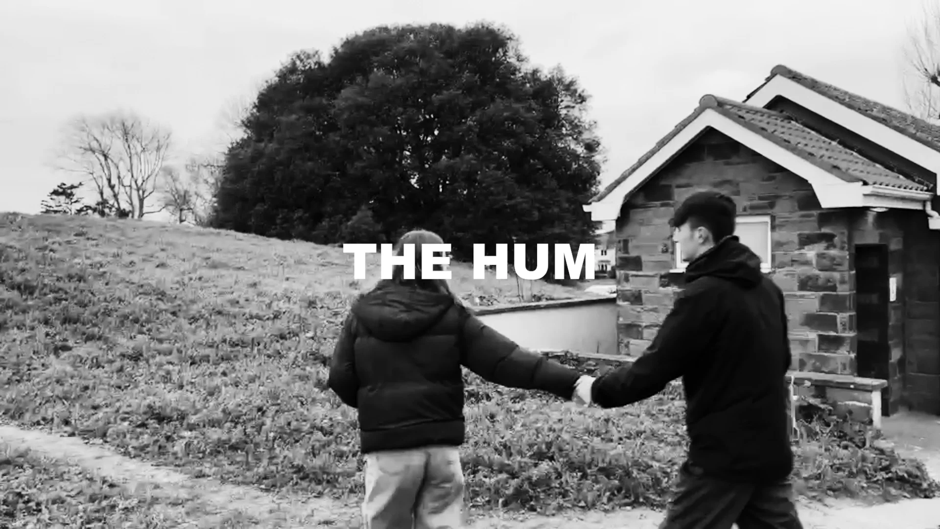final coursework- fences on Vimeo