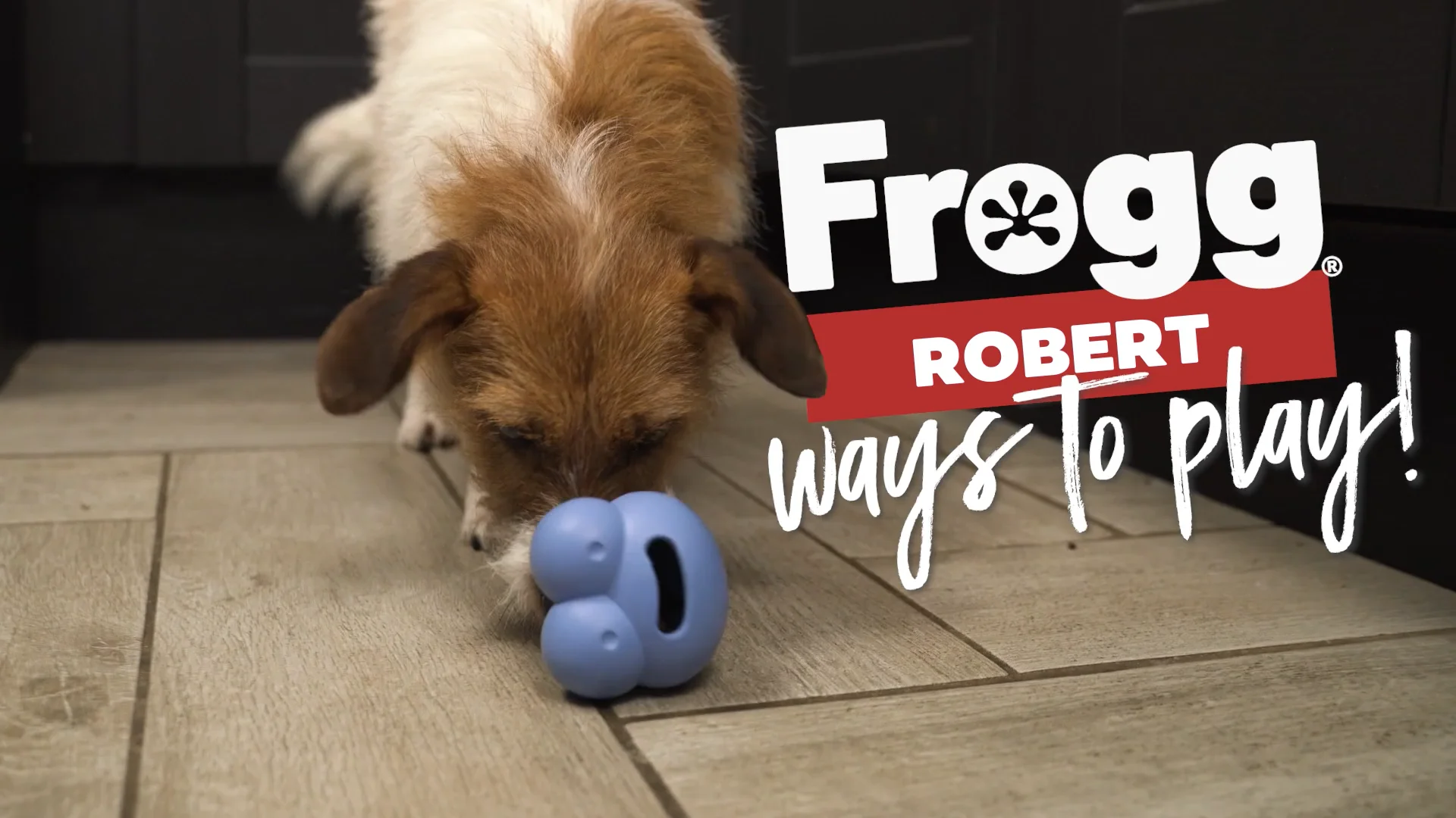 Best Puppy Toys to Keep Them Busy 