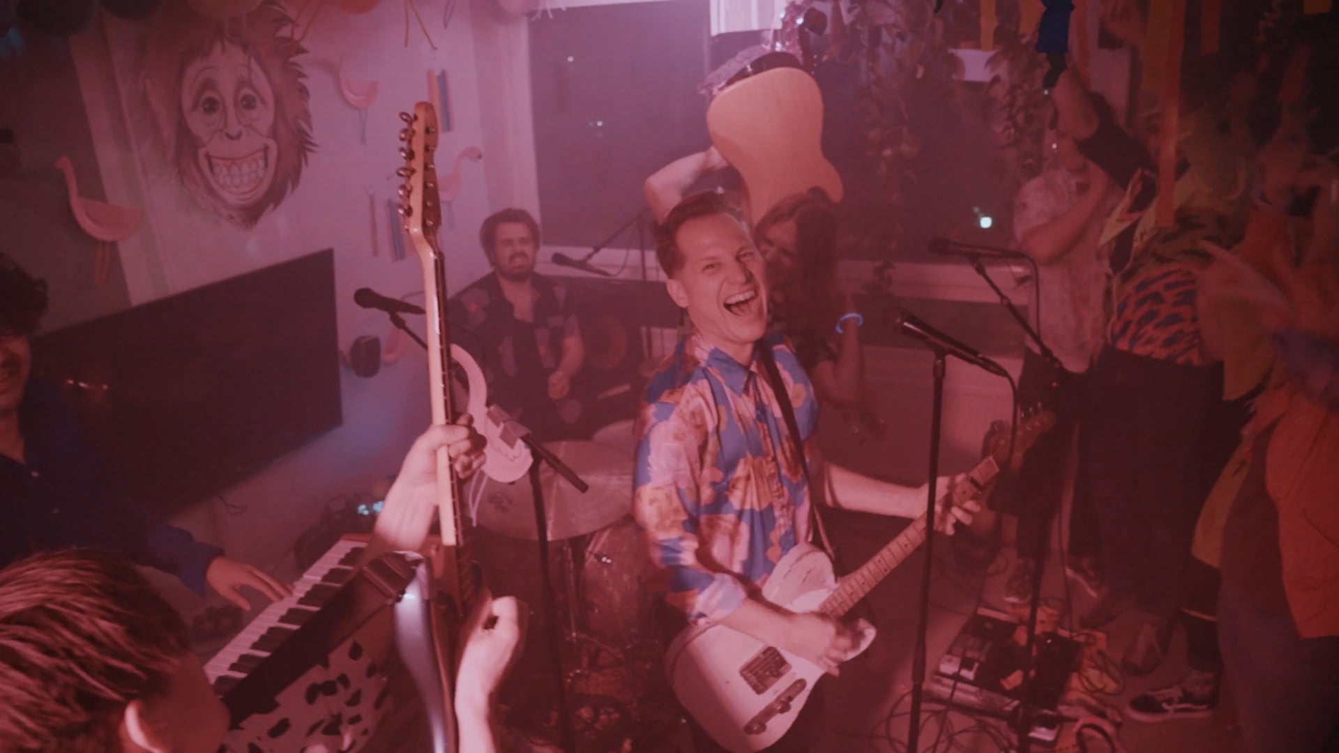 HECHT - Tourdokumentation "Flamingos"