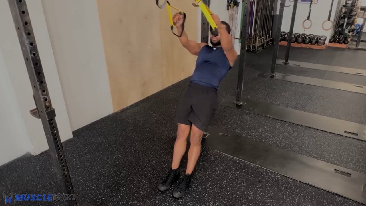 male-trx-rear-delt_fly-front on Vimeo