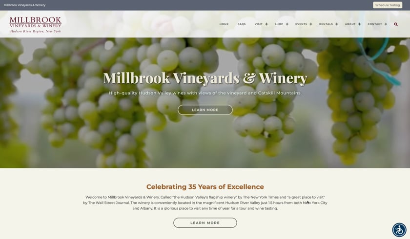 vimeo-video-thumbnail