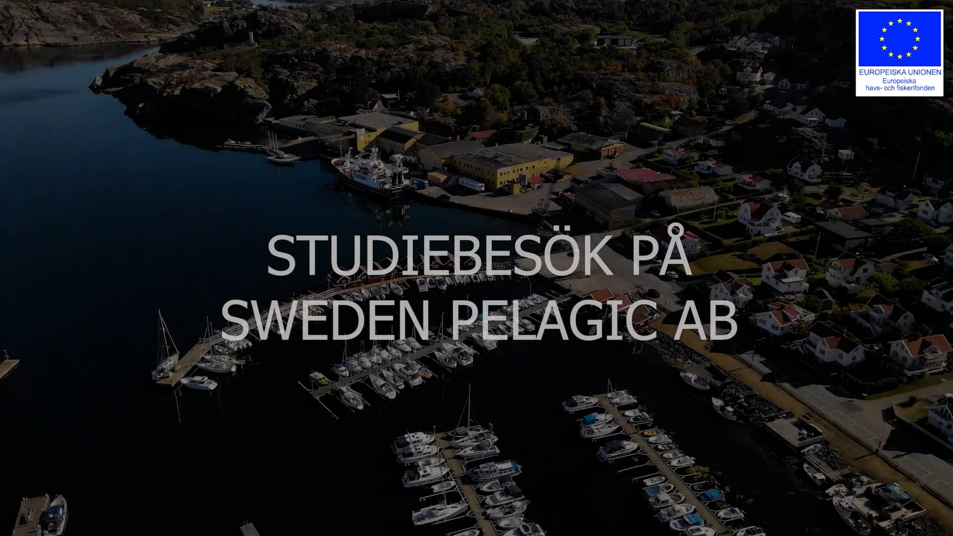 Sweden Pelagic Ellös on Vimeo