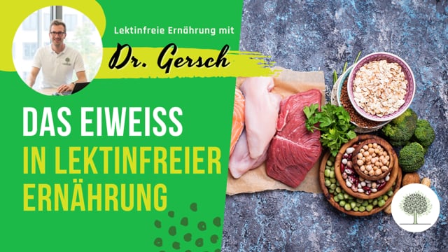 Lektinfreie Ernährung und das Eiweiß 