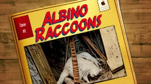 Step Into the Wild: Albino Raccoons