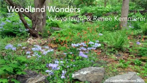 Renee Kemmerer - Woodland Wonders