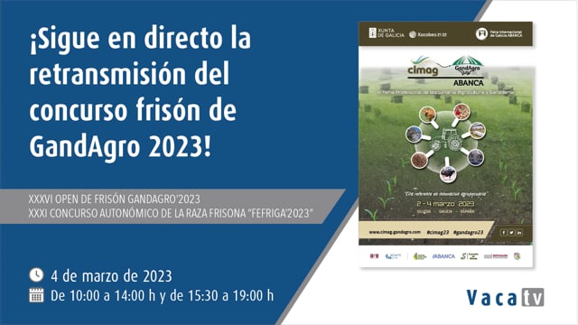 Segue en directo o concurso este sábado