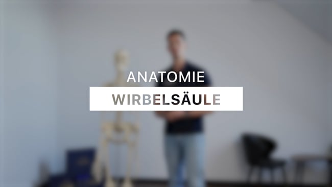 Anatomie