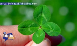 This Woman Collects 4 Leaf Clovers