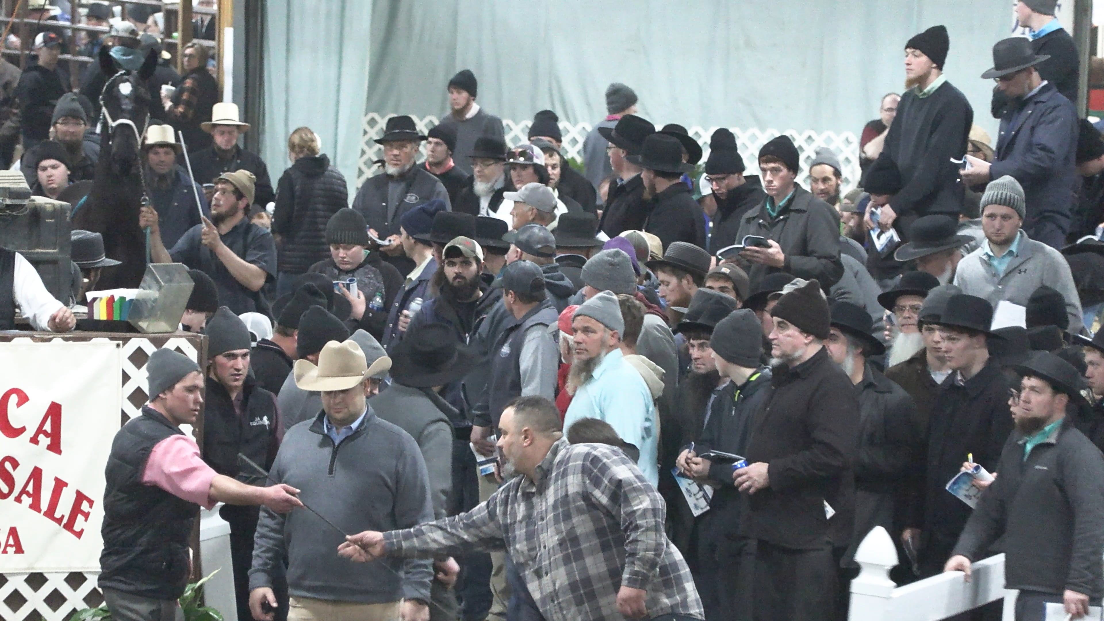 Lot 113 on Vimeo