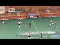 Preview Video #1