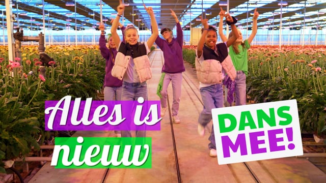 Alles Is Nieuw - DansMee!