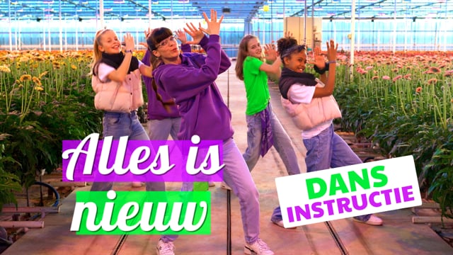Alles Is Nieuw - Dans instructie
