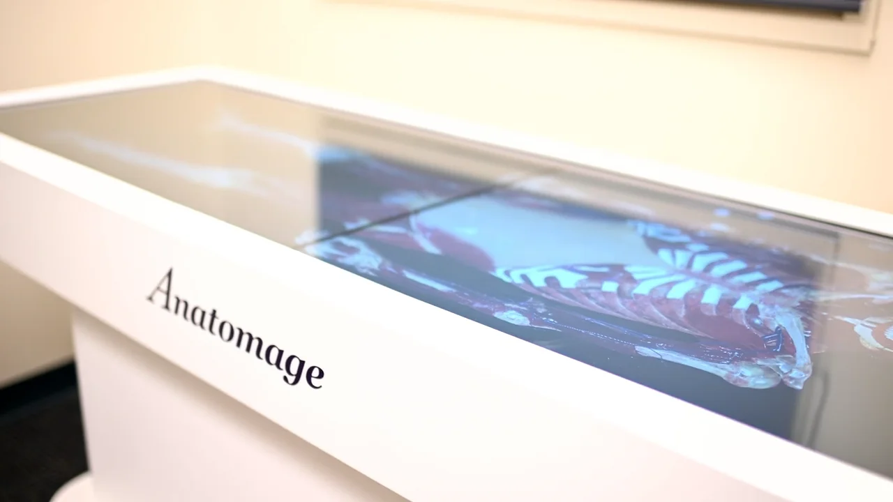 Chiropractic Techniques and Technology | Chiropractic Methods