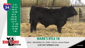 Lot #34 - MARK'S KYLE 1K