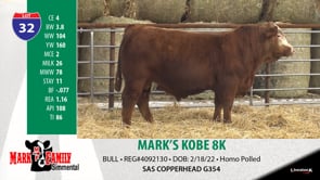 Lot #32 - MARK'S KOBE 8K