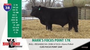 Lot #38 - MARK'S FOCUS POINT 17K