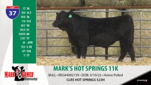 Lot #37 - MARK'S HOT SPRINGS 11K