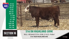 Lot #40 - S16 D8 HIGHLAND 309K