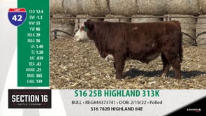 Lot #42 - S16 25B HIGHLAND 313K