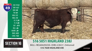 Lot #49 - S16 5051 HIGHLAND 238J