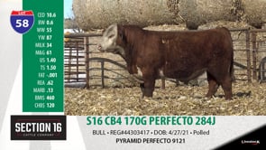 Lot #58 - S16 CB4 170G PERFECTO 284J