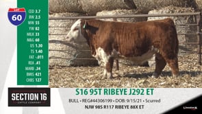 Lot #60 - S16 95T RIBEYE J292 ET