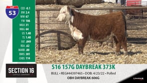 Lot #53 - S16 157G DAYBREAK 373K