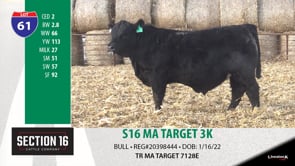 Lot #61 - S16 MA TARGET 3K