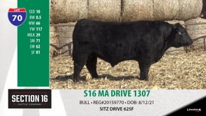 Lot #70 - S16 MA DRIVE 1307