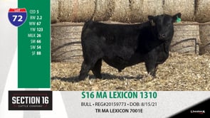 Lot #72 - S16 MA LEXICON 1310