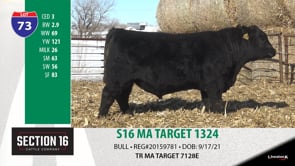 Lot #73 - S16 MA TARGET 1324 ***OUT OF SALE***