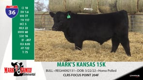 Lot #36 - MARK'S KANSAS 15K