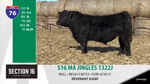 Lot #76 - S16 ma jingles 1322j