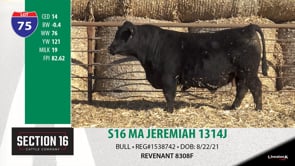 Lot #75 - S16 MA JEREMIAH 1314J ***OUT OF SALE***