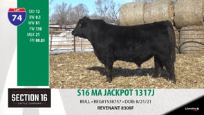 Lot #74 - S16 MA JACKPOT 1317J