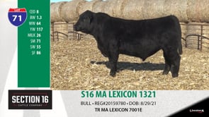 Lot #71 - S16 MA LEXICON 1321