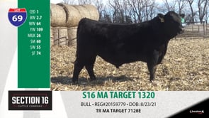 Lot #69 - S16 MA TARGET 1320