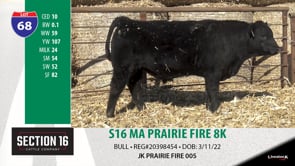 Lot #68 - S16 MA PRAIRIE FIRE 8K