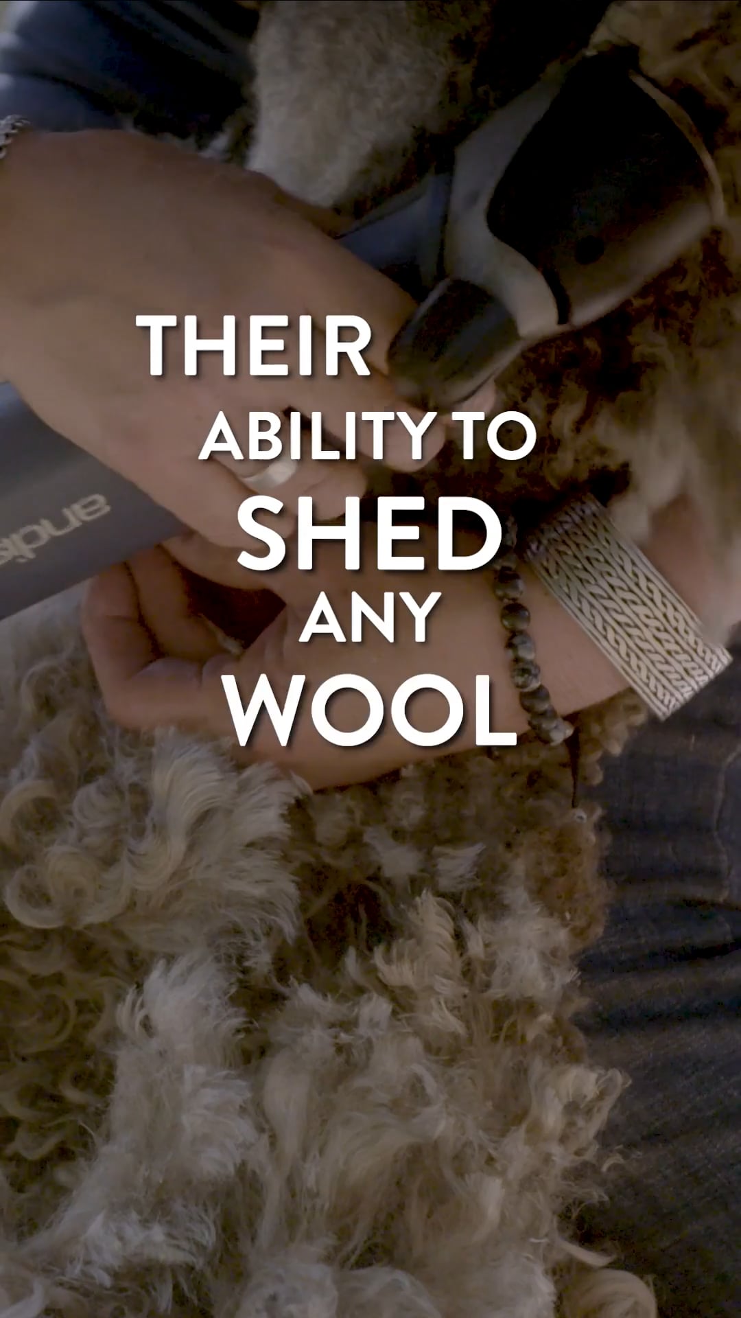 Jody Shapiro Director/Chef Shave Em To Save Em 2 on Vimeo