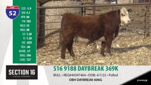 Lot #52 - S16 9188 DAYBREAK 369K