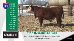 Lot #51 - S16 93G DAYBREAK 368K