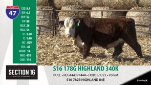 Lot #47 - S16 178G HIGHLAND 340K