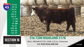 Lot #45 - S16 7200 HIGHLAND 317K