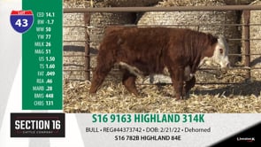 Lot #43 - S16 9163 HIGHLAND 314K