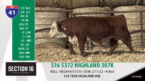 Lot #41 - S16 5372 HIGHLAND 307K
