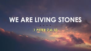 We Are Living Stones