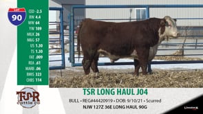 Lot #90 - TSR LONG HAUL J04