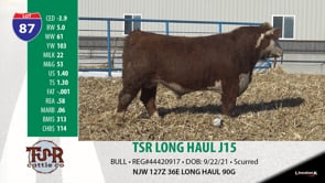 Lot #87 - TSR LONG HAUL J15